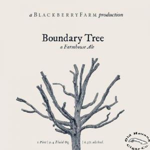 Boundary Tree