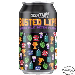 Busted Lip Sour