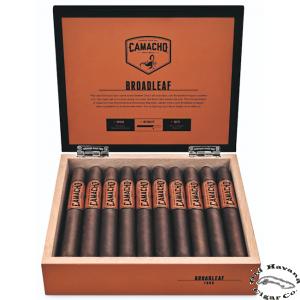 Broadleaf Robusto