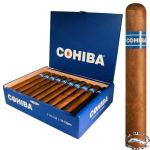 Blue Robusto