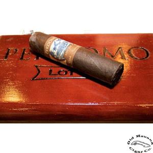 Lot 23 Gordito Maduro