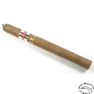 Summer Lancero