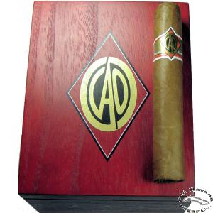 Gold Robusto