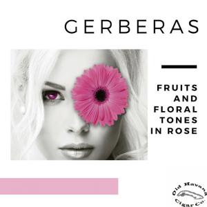 Garnacha Gerberas Rose