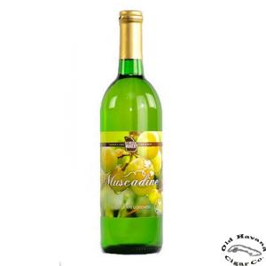 White Muscadine