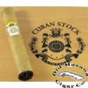 Robusto