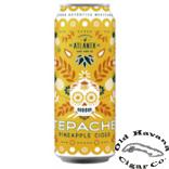 Hard Cider Tepache Pineapple