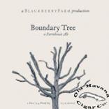 Boundary Tree