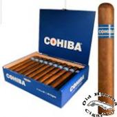 Click for Details - Blue Robusto