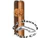 Robusto Cigars