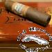 Lot 23 Gordito Maduro Cigars