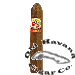 Serie R #4 Cigars