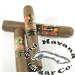 Nautilus Toro Cigars