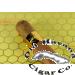 Click for Details - Gold Honey Robusto