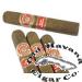 Rare Corojo Rothschild Cigars