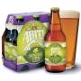 Spring IPA