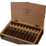 Gran Republica Robusto