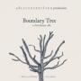 Boundary Tree