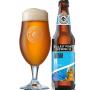 Fathom IPA