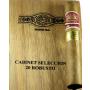 Real Robusto