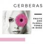 Garnacha Gerberas Rose