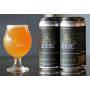 Get Comfortable IPA