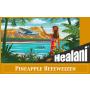 Healani Pineapple Hefeweizen