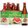 Juicy Watermelon Ale
