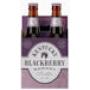 Bourbon Barrel Blackberry Porter