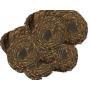Bulls Eye Flake