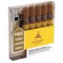 Classic Toro 5 Cigar Sampler with Torch Lighter 