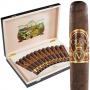 Serie V 135th Anniversary