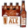 Pumpkin Ale