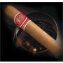 Romeo y Julieta Reserva Real Cigars - Verona's Court (Tube)