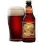 SIERRA NEVADA Brewery Tumbler Autumn Brown Ale Draft Beer