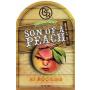 J ROCKERS Brewery Son Of A Peach Beer