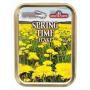 Spring Time