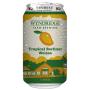 Tropical Berliner Weiss