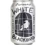 White Blackbird