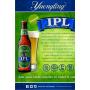 Yuengling IPL